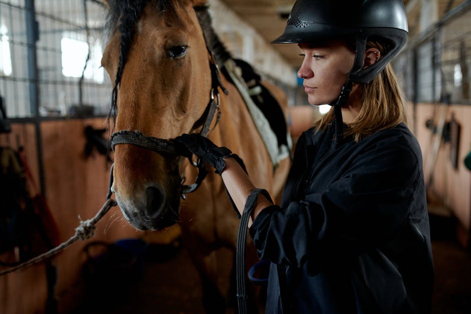 Is Dover Saddlery Going Out of Business