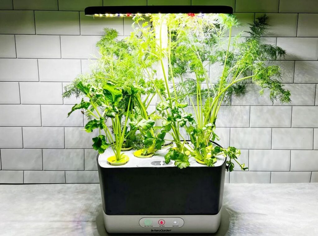 Is AeroGarden Going Out of Business